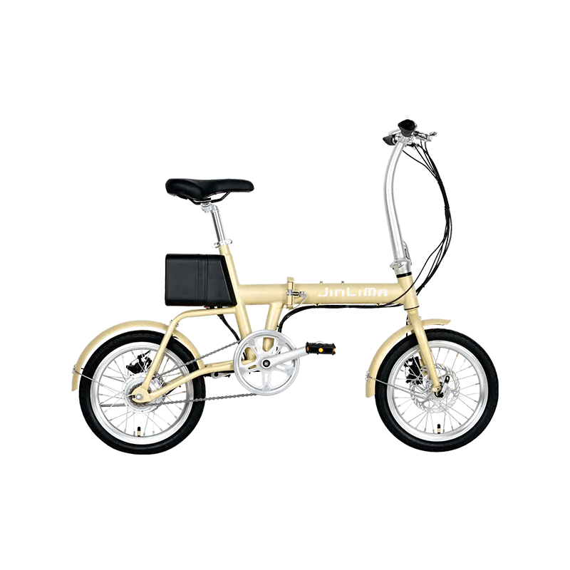 Hyb-036 16 "Iron Frame Double Aluminum Rims LED Dashboard e-bike