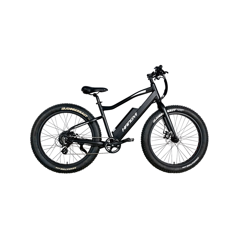 Ano ang mga pangunahing pagkakaiba sa pagitan ng Hardtail at Full-Suspension Mountain Bike?