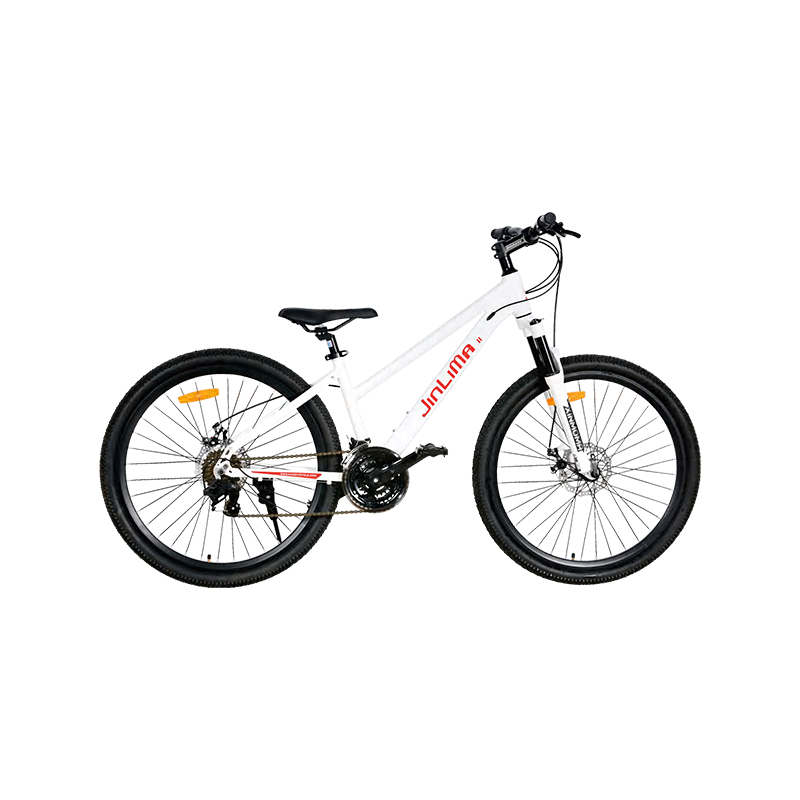 Ang 26-inch bike: Isang balanseng pagpipilian para sa maraming nalalaman pagsakay
