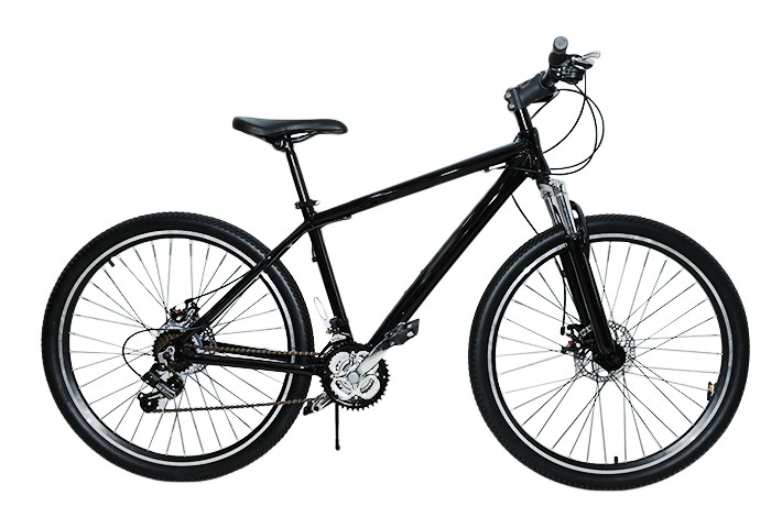 Ipinakikilala ng Public Electric Bike Supplier ang mga kasanayan sa pagpapanatili ng bike