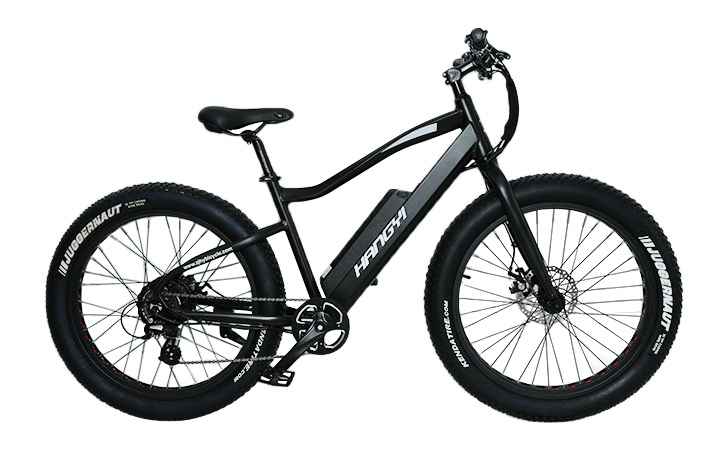 Ang Electric Bicycle ay maaaring maging ginustong mode ng transportasyon sa hinaharap
